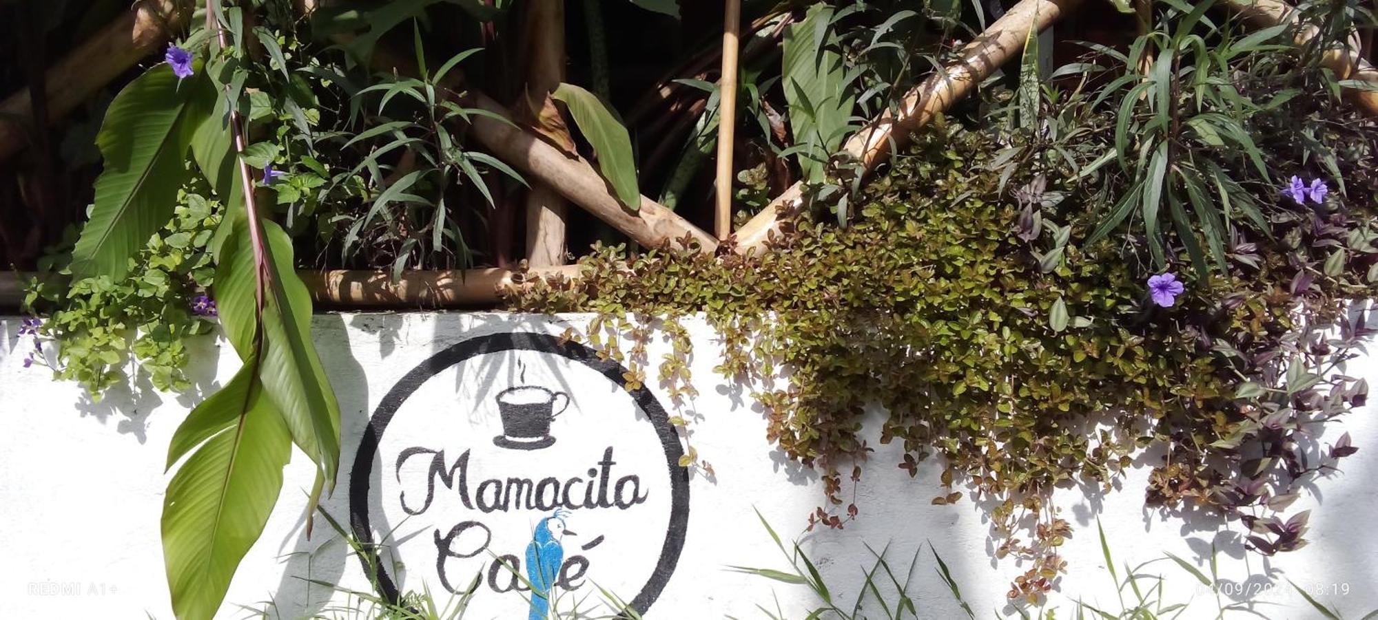 Mamacita Cafe House Hotel Moyogalpa Exterior foto
